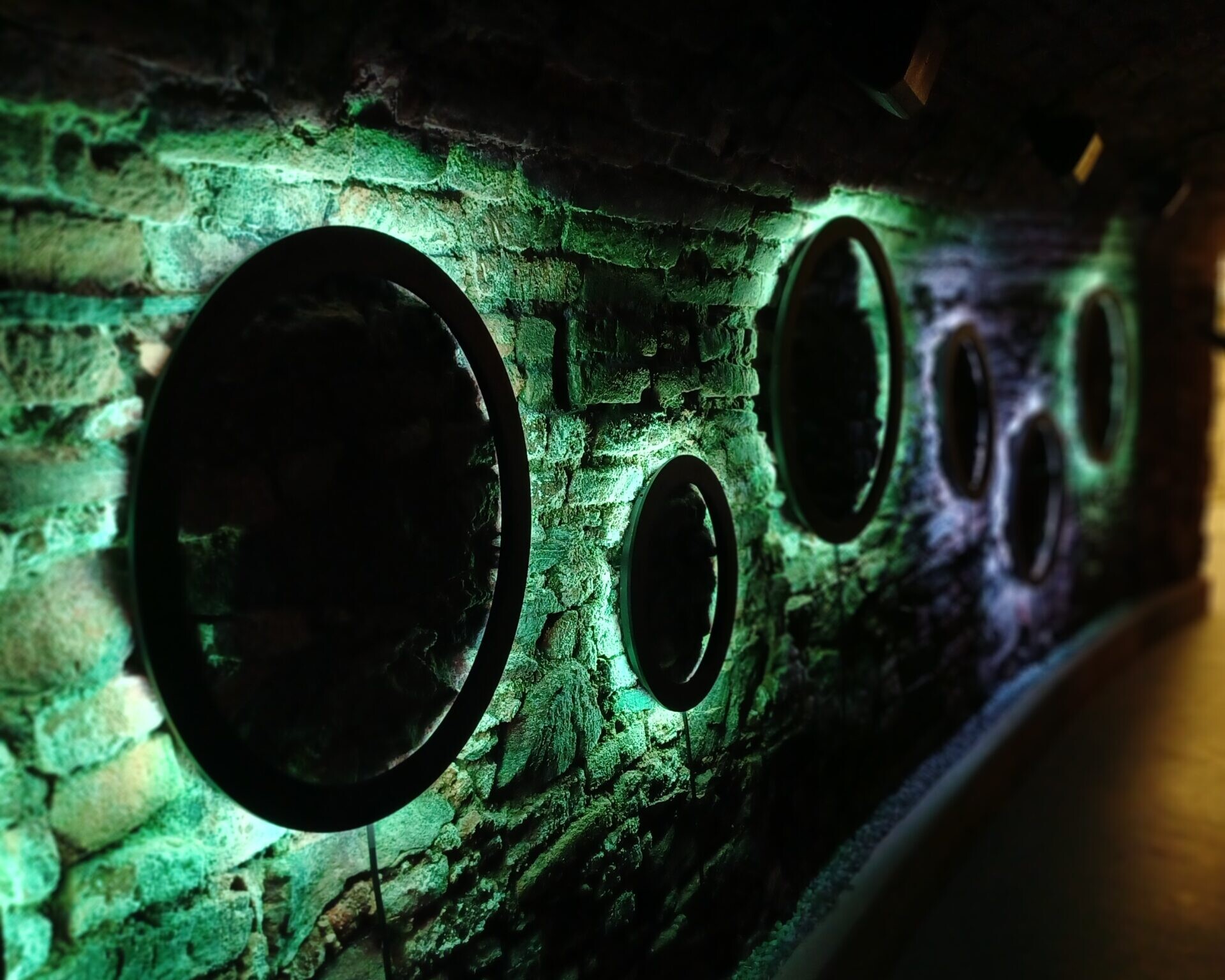 Weinkellerwand mit leichtenden Wandkreisen.